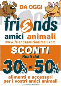 ORGANIZZAZIONE VENDITA PROMOZIONALE FRIENDS